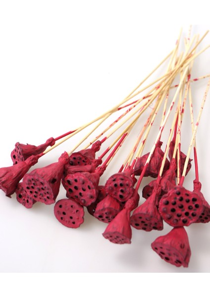 20 Adet Bambu Şiş Saplı Mini Lotus Çiçeği Plant Vişne Çürüğü Lotus