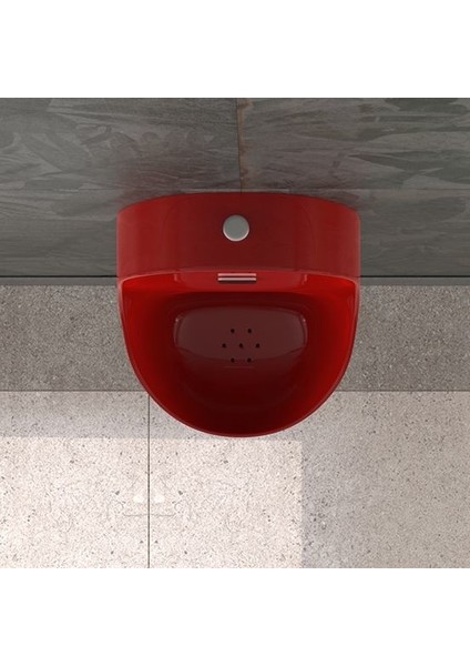 Avva 36 cm Fotoselli Pisuvar Kırmızı modelleri