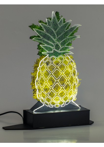 3D Ananas Şoklanmış Yosun 3 Boyutlu Dekoratif LED Masa