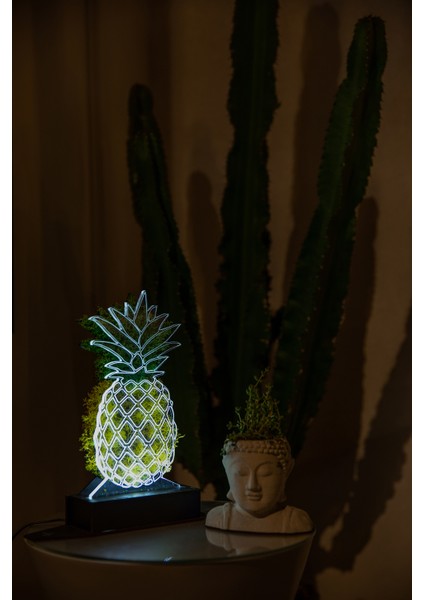 3D Ananas Şoklanmış Yosun 3 Boyutlu Dekoratif LED Masa