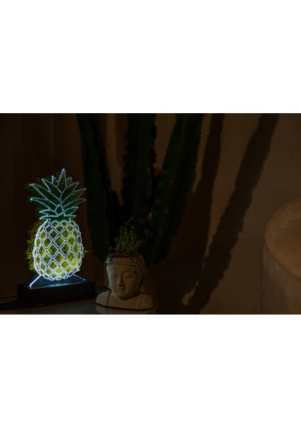 3D Ananas Şoklanmış Yosun 3 Boyutlu Dekoratif LED Masa