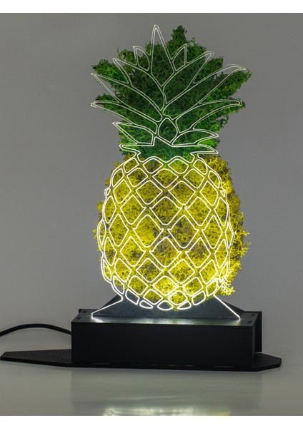 3D Ananas Şoklanmış Yosun 3 Boyutlu Dekoratif LED Masa