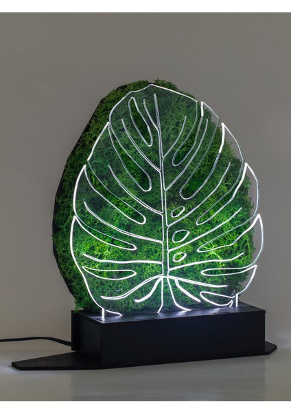 3D Monstera Devetabanı Şoklanmış Yosun 3 Boyutlu Dekoratif LED Masa