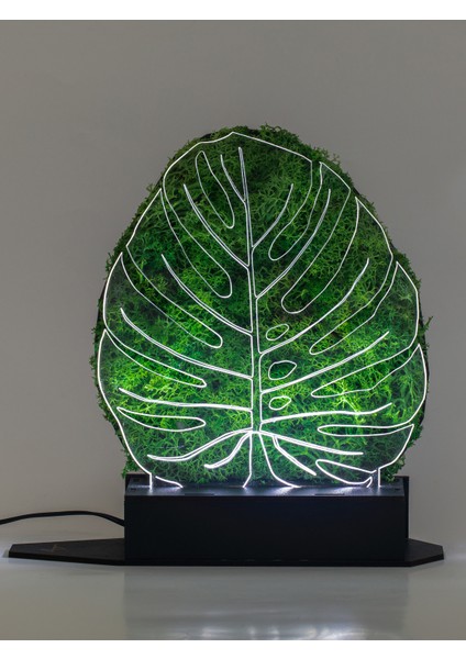 3D Monstera Devetabanı Şoklanmış Yosun 3 Boyutlu Dekoratif LED Masa