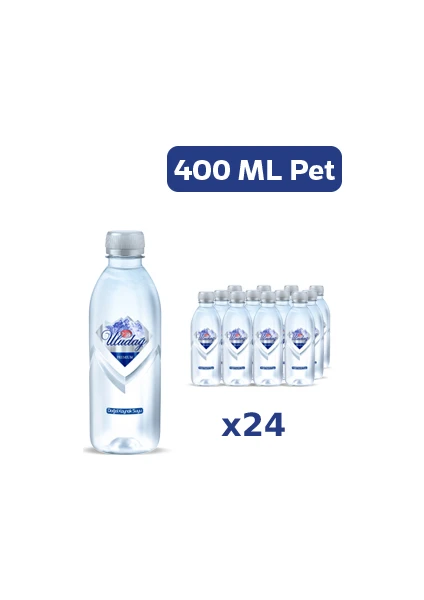 Premium Mineralli Doğal Kaynak Suyu Pet 24 x 400 ml"