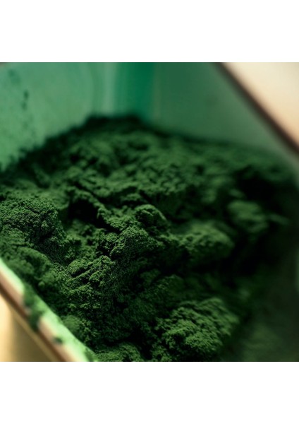 Detox - Spirulina Cla Yeşil Çay ve Lime - 14 Saşe x 3 Kutu fiyatları