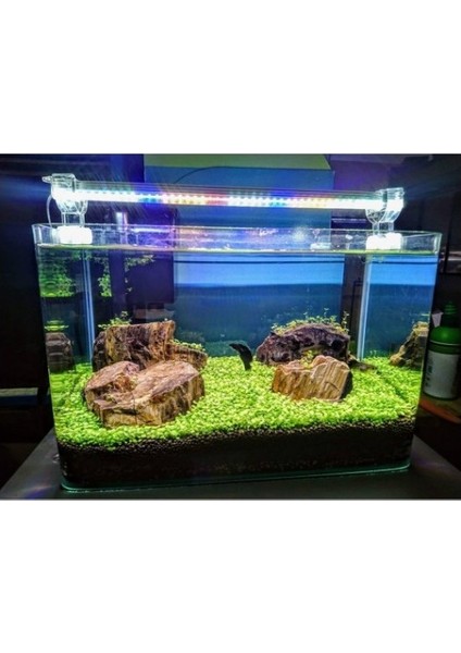 20 cm 4 Renk Full Spectrum Led Aydınlatma