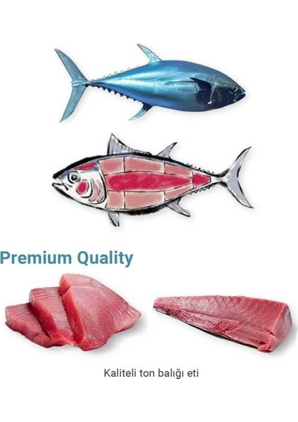 Me-O Ton Balıklı Soslu Tahılsız Kedi Konserve Maması 80 gr x 6 Adet indirimleri