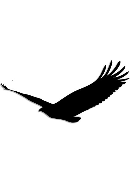 Kartal ve Şerit Yapıştırması Duvar Oda Ev Aksesuarı Ahşap Tablo 50X24CM modelleri