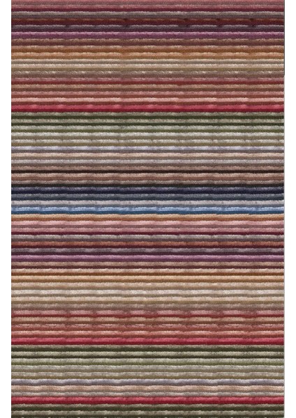 Renbow Kaymaz Tabanlı Yıkanabilir Halı Kilim Yolluk Renkli