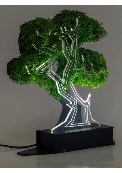 3D Şoklanmış Yosun Bonsai Ağacı 3 Boyutlu Dekoratif LED Masa