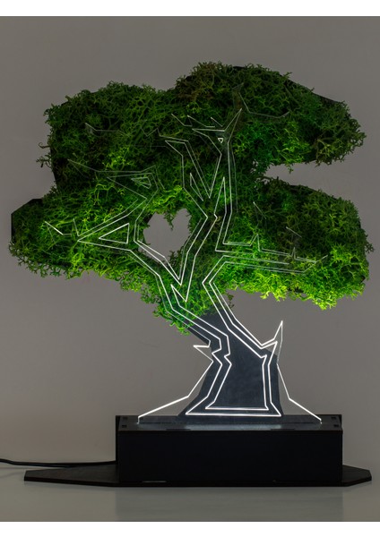 3D Şoklanmış Yosun Bonsai Ağacı 3 Boyutlu Dekoratif LED Masa