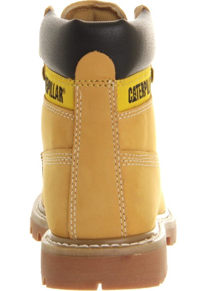 Colorado Honey Bot modelleri