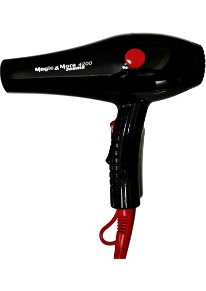 2500W Profesyonel Fön Makinesi