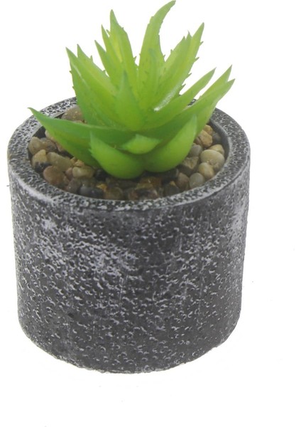 1 Adet Taş Beton Saksıda Yapay Sukulent Çiçek