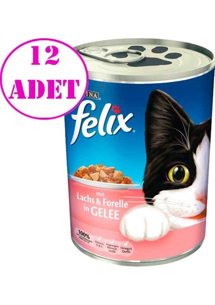 Somon ve Alabalıklı Kedi Konservesi 400 gr 12 Adet