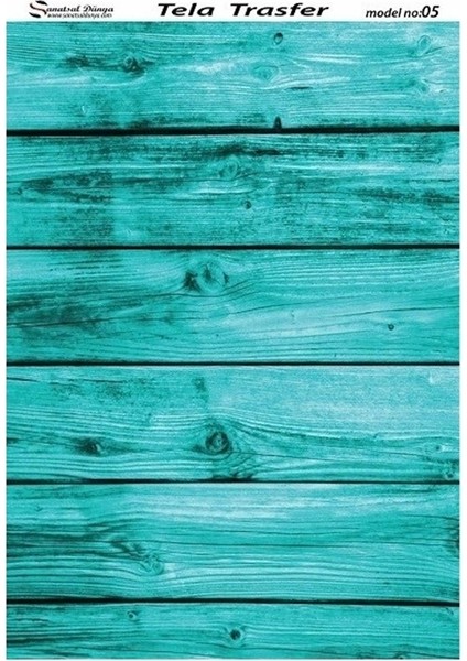 Model 5 Tela Transfer