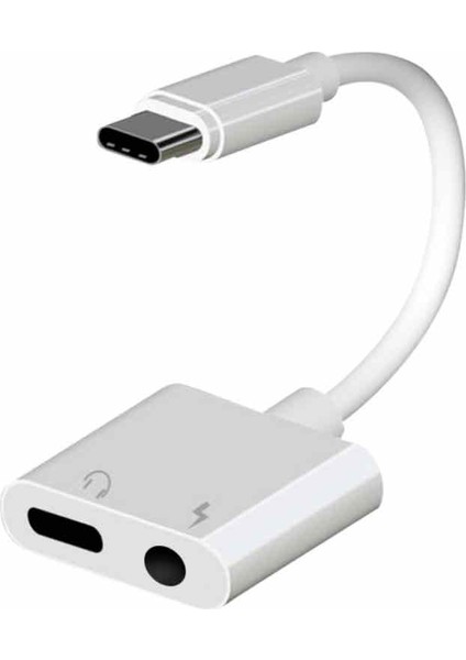 Type-C Splitter Dongle