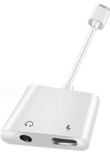 Type-C Splitter Dongle