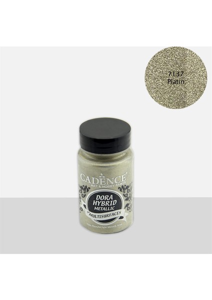 7137 Dora Multisurfaces 90 ml Platin