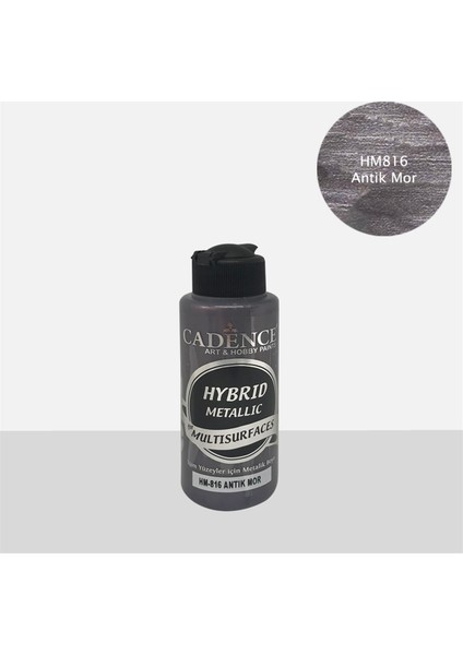 Multisurfaces 120 ml HM816 Antik Mor