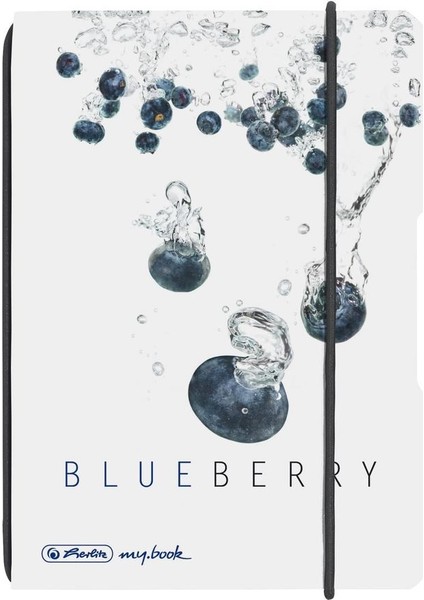 Herlıtz A6 Kareli Defter Blueberry