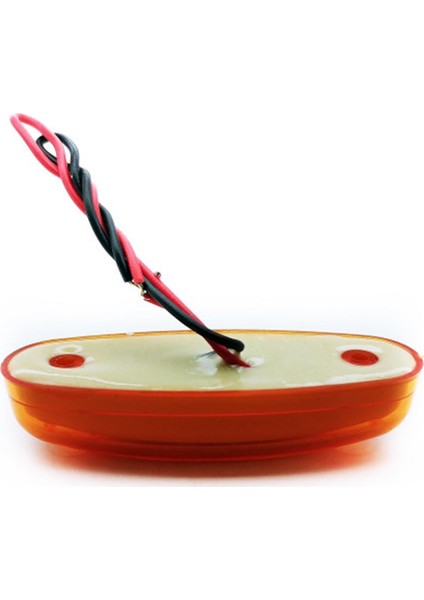 Neon LED Lamba 12 - 24 V 5 Adet fırsatları