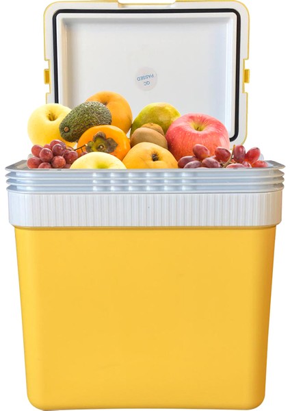 SF26 Taşıma Çantası Buzluk 26 lt fiyatları