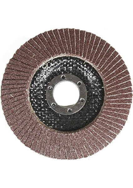 Ugr 115X22 mm Metal Ahşap Flap Disk Zımpara