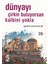 Dünyayı Çirkin Buluyorsan Kalbini Yokla - Güzin Osmancık 1