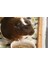 Kemirgen Tavşan Hamster Ginepig Guinea Pig Pelet Maması Yemi 25 kg 3