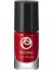 Oncolour Oje 1