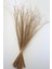 Tropic Ting Bunch Grass 100 cm Naturel 1