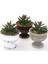 Mini Antik Beton Meşale Saksıda Yapay Yeni Succulent 3lü Set 1
