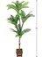Yapay Areka Agacı 4 Gövdeli 180CM 1