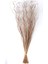 Tropic Laser Bunch Grass 100 cm Naturel Dalgalı 1