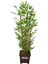 Yapay Bambu Ağacı 6 Gövde 110 cm Model 10 1
