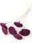 Succulent Lotus Plant Lotus Çiçeği Bambu Saplı 6 Adet Erguvan 1