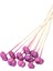 10LU Paras Ped Bleach On Stem 45 cm Erguvan 1