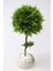 Dekoratif Lüx Top Çam Ağacı 30X60 CmMermer Saksı 1