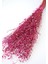 Kuru Çiçek Tomurcuk Otu Demeti 45 cm Pembe 1