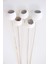 Dekoratif Bell Cup 5li Tropic Kabak Beyaz 1