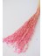 Kuru Çiçek Yulaf Otu Demeti 50 cm Pembe 1