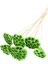 Succulent Lotus Plant Lotus Çiçeği Bambu Saplı 6 Adet Retro Yeşil 1