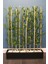 10 Çubuklu Ahşap Saksıda Bambu Seperatör 20X100X135CM 1