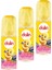 Bebek Kolonyası Çiçek Bahçesi 150 ml x 3 Adet 1