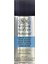 Professional Dammar Varnish Sprey Damar Verniği 400 ml 1