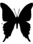 Kelebek Butterfly Duvar Oda Ev Aksesuarı Ahşap Tablo 41 x 50 cm 3