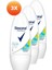 Stay Fresh Blue Poppy Apple Kadın Roll-On 50 ml 3'lü Paket 2