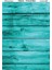 Model 5 Tela Transfer 1